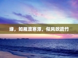 缘，如雁渡寒潭，似风吹疏竹