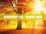 我就是想停下来，看看这个世界