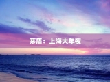 茅盾：上海大年夜