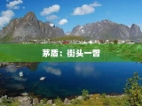 茅盾：街头一瞥