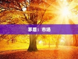 茅盾：市场
