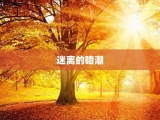 迷离的暗潮