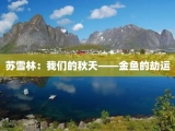 苏雪林：我们的秋天——金鱼的劫运