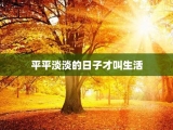 平平淡淡的日子才叫生活