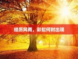 经历风雨，彩虹何时出现