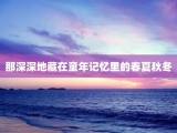 那深深地藏在童年记忆里的春夏秋冬