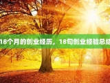 18个月的创业经历，18句创业经验总结