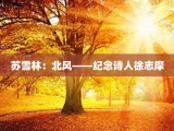 苏雪林：北风——纪念诗人徐志摩