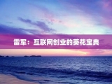 雷军：互联网创业的葵花宝典
