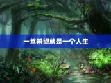 一丝希望就是一个人生