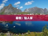 秦牧：仙人掌