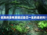 你真的没有质疑过自己一生的追求吗？