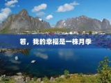 若，我的幸福是一株月季