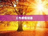 工作感悟短语