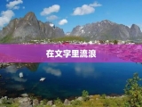 在文字里流浪