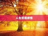 人生哲理感悟