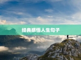 经典感悟人生句子