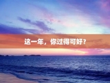 这一年，你过得可好？