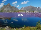 顽石