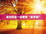 成功创业一定要有“杀手锏”