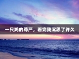 一只鸡的尊严，看完我沉思了许久