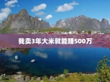 我卖3年大米就能赚500万