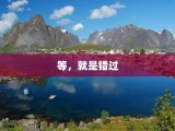 等，就是错过