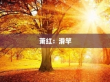 萧红：滑竿