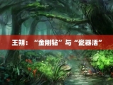 王朔：“金刚钻”与“瓷器活”
