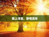 陌上浅笔，静悟流年