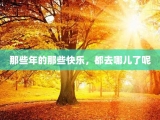 那些年的那些快乐，都去哪儿了呢