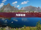 为你驻足