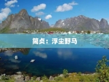 简贞：浮尘野马