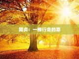 简贞：一株行走的草