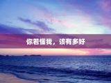 你若懂我，该有多好