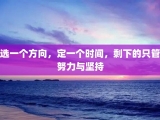 选一个方向，定一个时间，剩下的只管努力与坚持