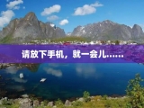 请放下手机，就一会儿……