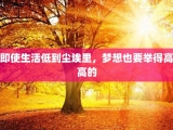 即使生活低到尘埃里，梦想也要举得高高的