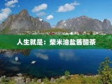 人生就是：柴米油盐酱醋茶