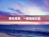 葬花落雨，一别流年以后