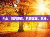 今生，我只要你。只要你在，就好。