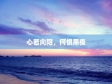 心若向阳，何惧黑夜