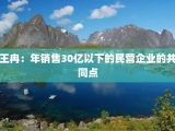 王冉：年销售30亿以下的民营企业的共同点