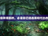 你所得到的，必是你已经选择和付出的