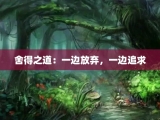舍得之道：一边放弃，一边追求