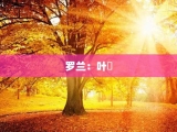 罗兰：叶沄