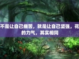 不是让自己痛苦，就是让自己坚强，花的力气，其实相同