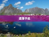 遗落于此