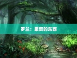 罗兰：累赘的东西