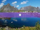夜
